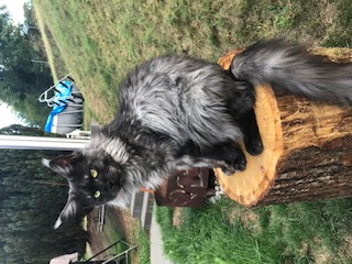 Mutter Lucy vom stillen Waldsee